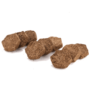 cow-dung cake