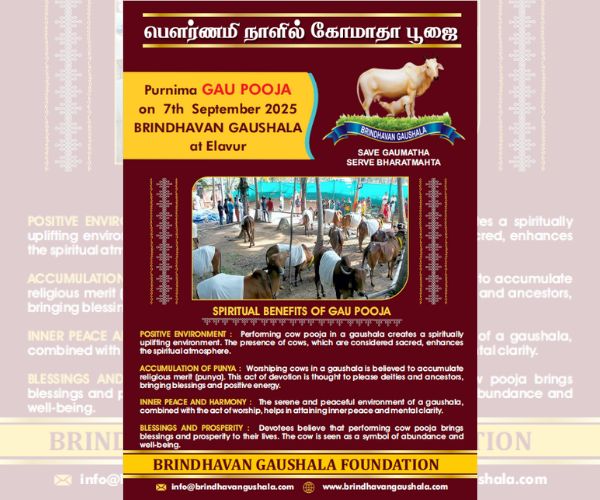 Purnima GAU POOJA on 7th September 2025 BRINDHAVAN GAUSHALA at Elavur