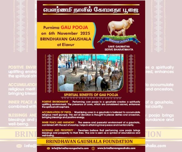 Purnima GAU POOJA on 6th November 2025 BRINDHAVAN GAUSHALA at Elavur